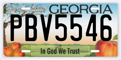 GA license plate PBV5546