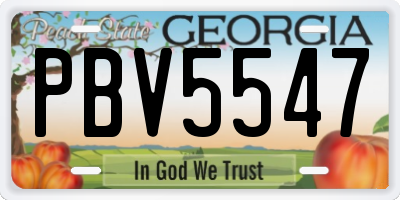 GA license plate PBV5547