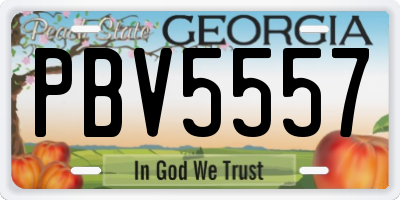 GA license plate PBV5557
