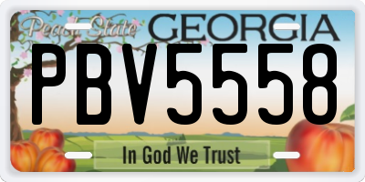 GA license plate PBV5558