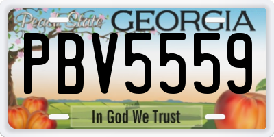 GA license plate PBV5559