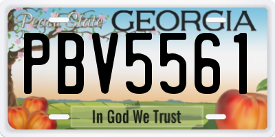 GA license plate PBV5561