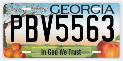 GA license plate PBV5563