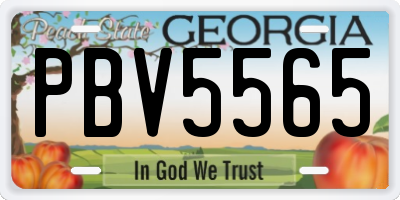 GA license plate PBV5565