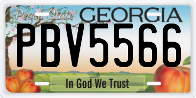 GA license plate PBV5566