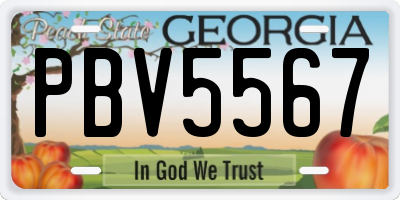GA license plate PBV5567