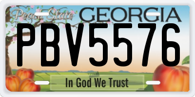 GA license plate PBV5576