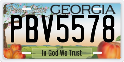 GA license plate PBV5578