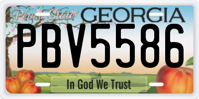 GA license plate PBV5586