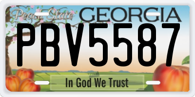 GA license plate PBV5587