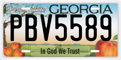 GA license plate PBV5589