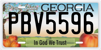 GA license plate PBV5596