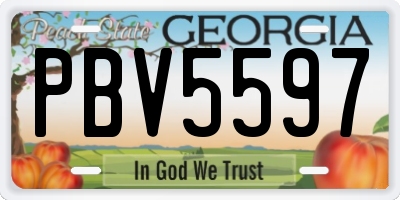 GA license plate PBV5597