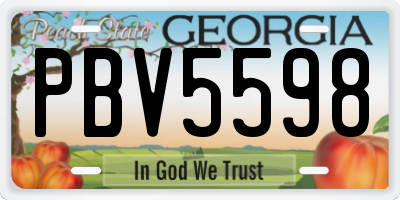GA license plate PBV5598