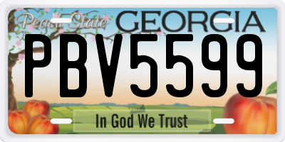 GA license plate PBV5599