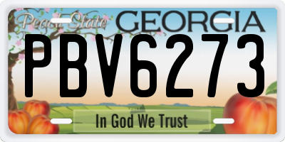 GA license plate PBV6273