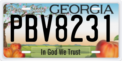 GA license plate PBV8231