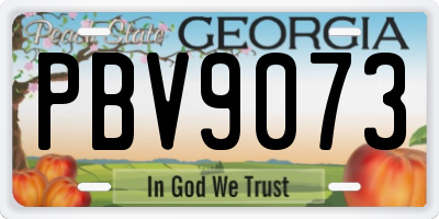 GA license plate PBV9073