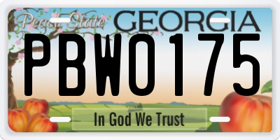 GA license plate PBW0175