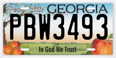 GA license plate PBW3493