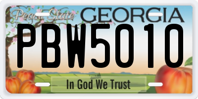GA license plate PBW5010