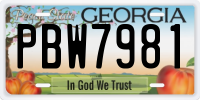 GA license plate PBW7981