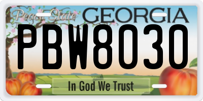 GA license plate PBW8030
