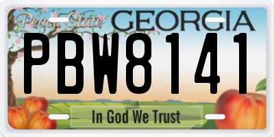 GA license plate PBW8141