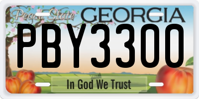 GA license plate PBY3300