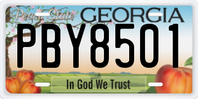 GA license plate PBY8501