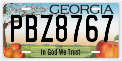 GA license plate PBZ8767