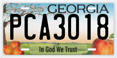 GA license plate PCA3018