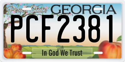 GA license plate PCF2381