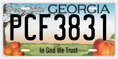 GA license plate PCF3831