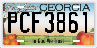 GA license plate PCF3861