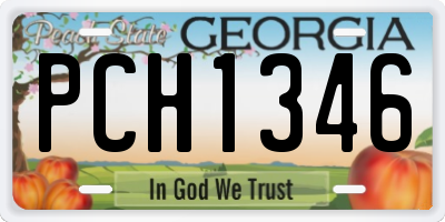 GA license plate PCH1346