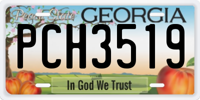 GA license plate PCH3519