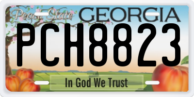 GA license plate PCH8823