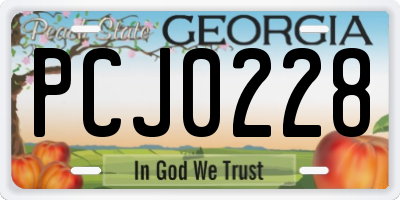 GA license plate PCJ0228
