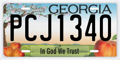 GA license plate PCJ1340