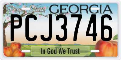 GA license plate PCJ3746