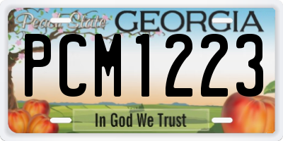 GA license plate PCM1223