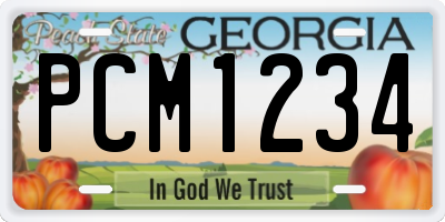 GA license plate PCM1234