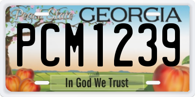 GA license plate PCM1239