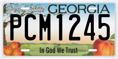 GA license plate PCM1245