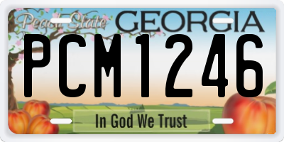 GA license plate PCM1246