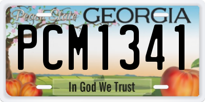 GA license plate PCM1341