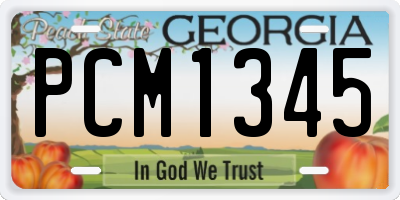 GA license plate PCM1345