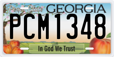 GA license plate PCM1348