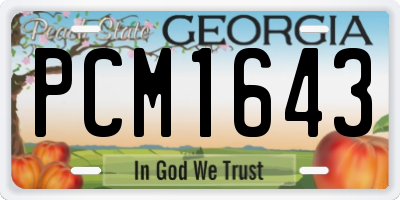 GA license plate PCM1643
